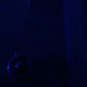 Meet your Posher, Alonna